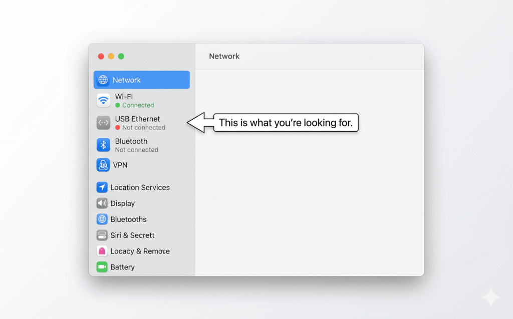 Ethernet Not Detected Screenshot Recreation A clean macOS System Settings mockup showing the Network panel. The left sidebar shows "Wi-Fi (Connected)" in green, and below it "USB Ethernet – Not connected" in gray with a red dot. A small arrow points to the Ethernet entry with the label "This is what you're looking for."